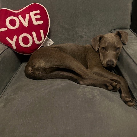 Willa — thumbnail 5