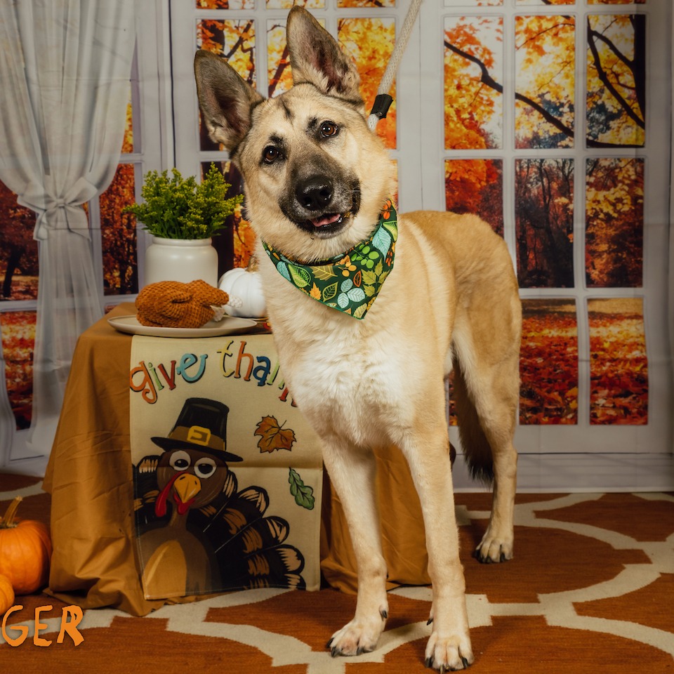 Hooch — thumbnail 2