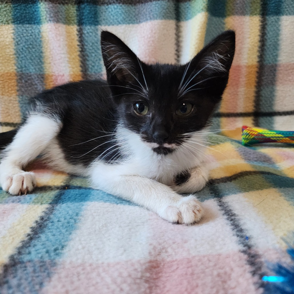 Photo of LOVEY