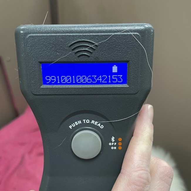 Astrid — thumbnail 3