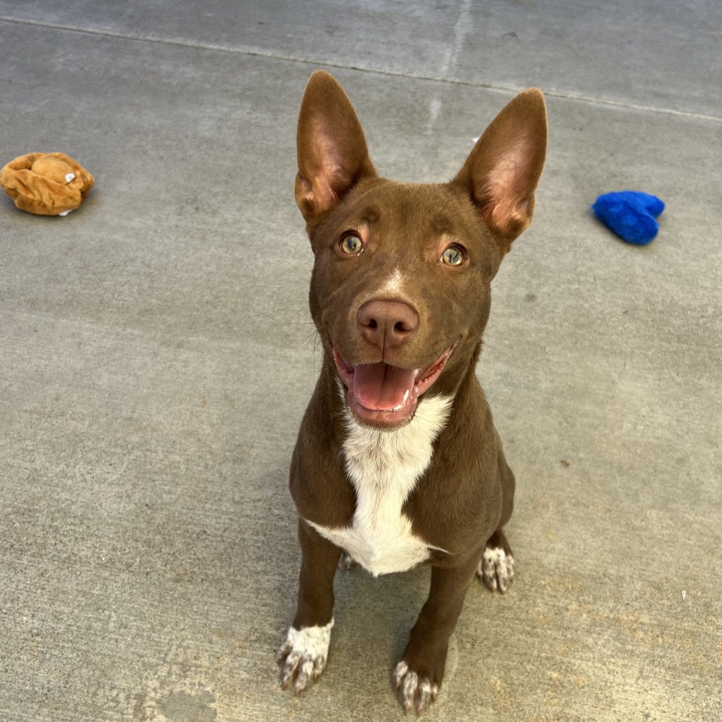 Kennel#3 Molly's preview photo