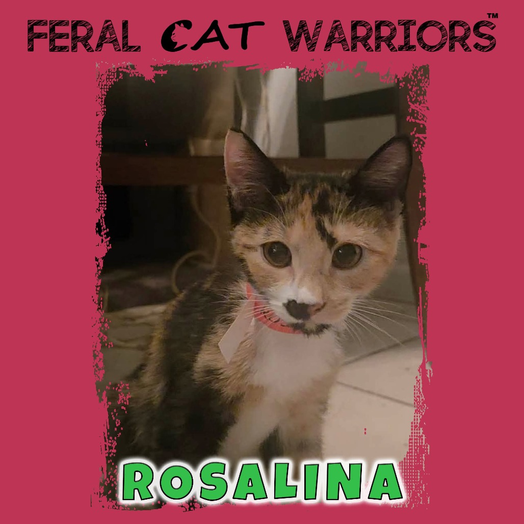 Rosalina