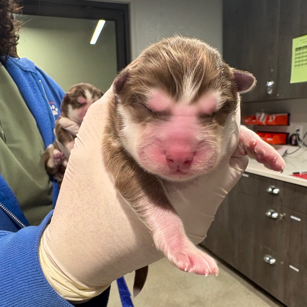 Jeff — thumbnail 2