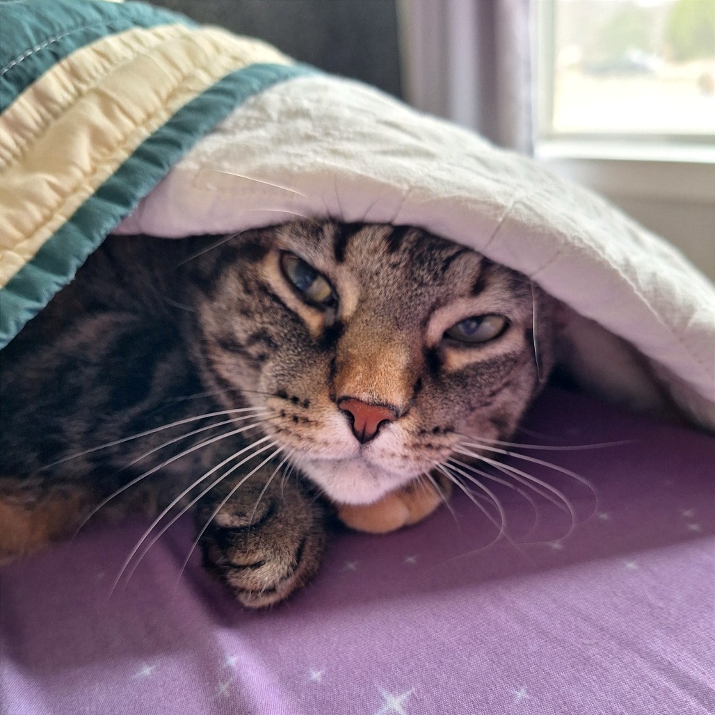 Ireland 31 — thumbnail 6