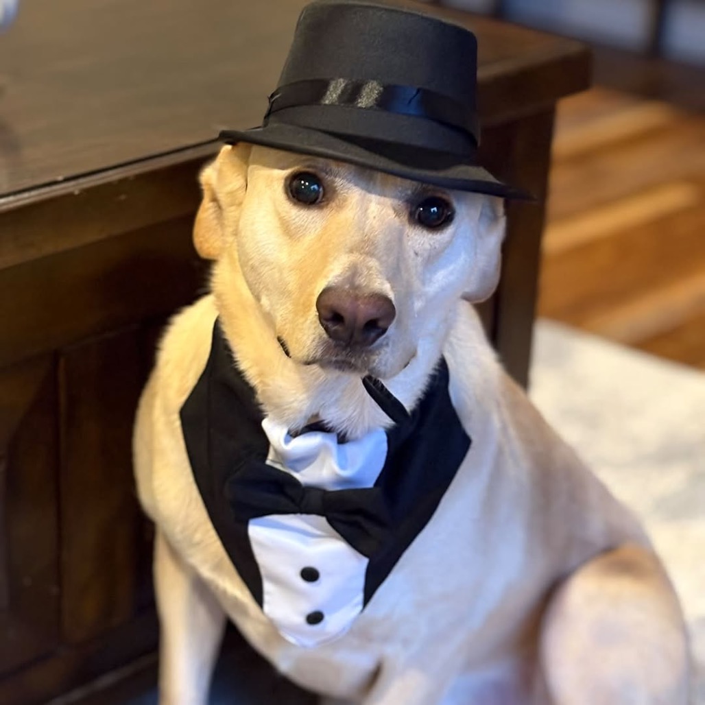 Butter, photo 31