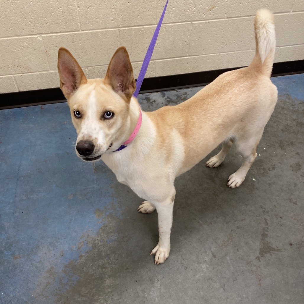 Alice — thumbnail 8