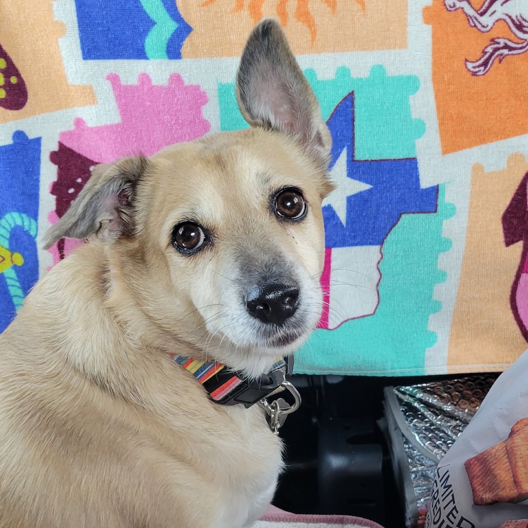 Chloe, photo 3