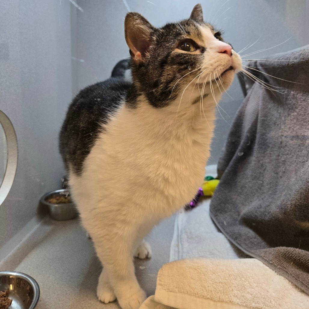 Photo of Colby Jack 5