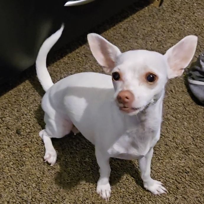 Photo of Snoh