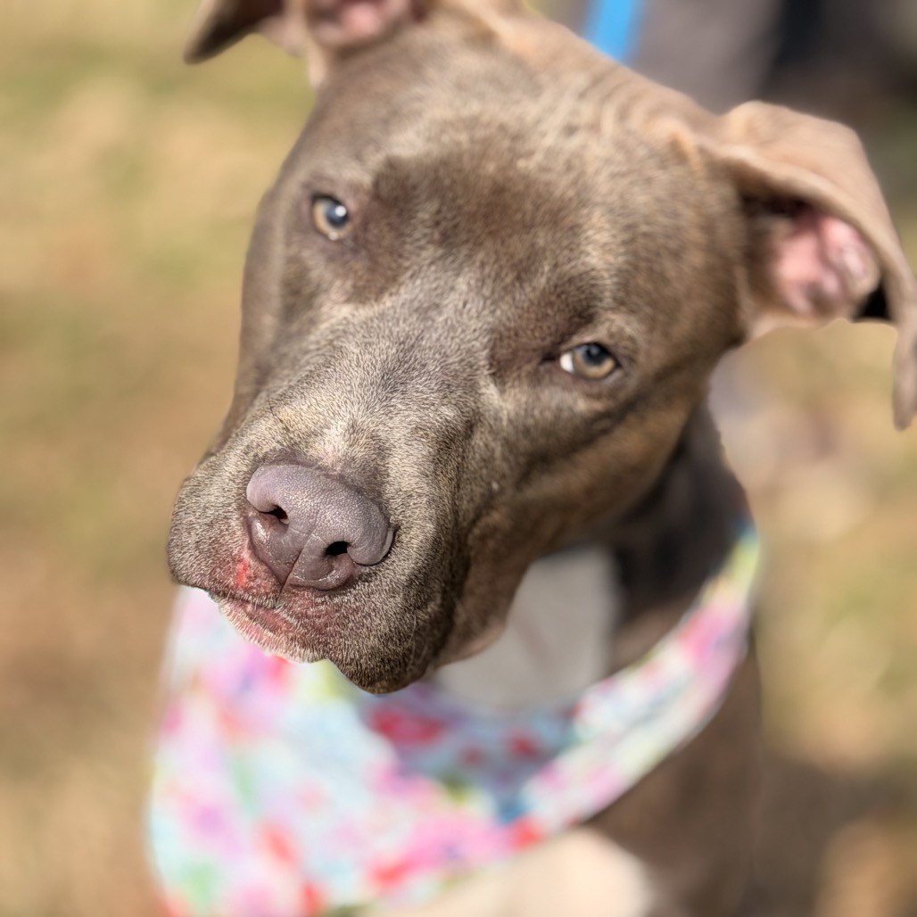 Smithereens — thumbnail 9