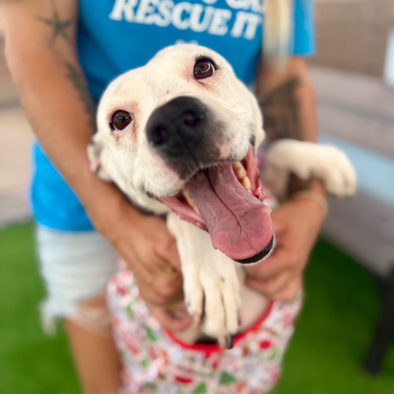 Full body shot of Nana