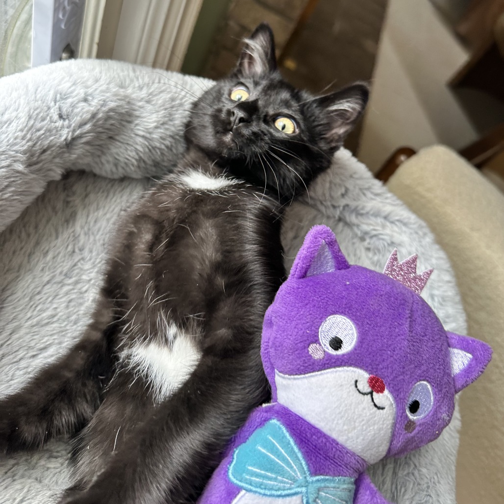 Seiji, photo 17