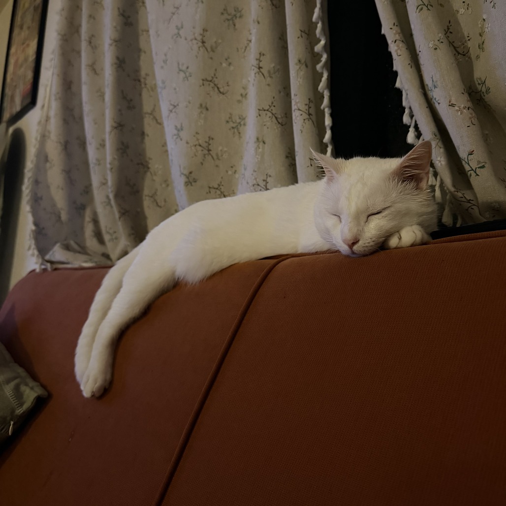 Casper, photo 2