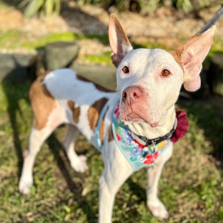 Close-up photo of Faith