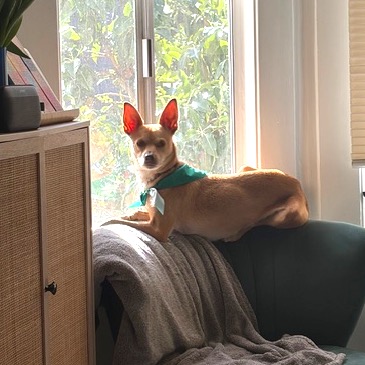 Luna — thumbnail 3