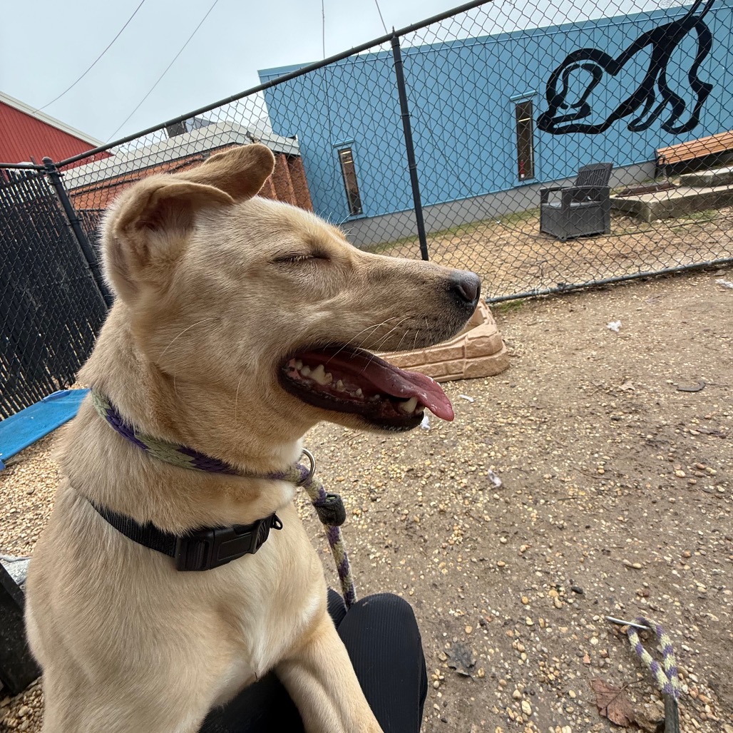 Honey — thumbnail 4