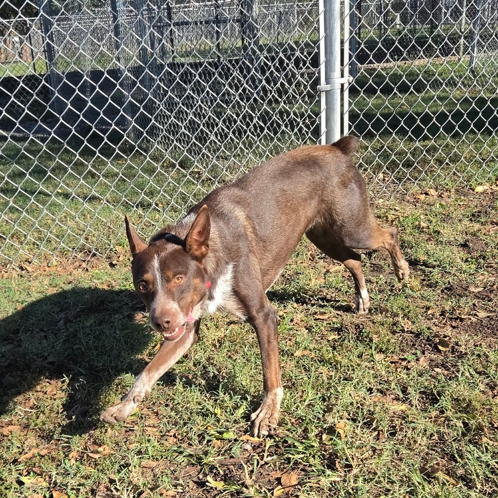 Bud photo 5