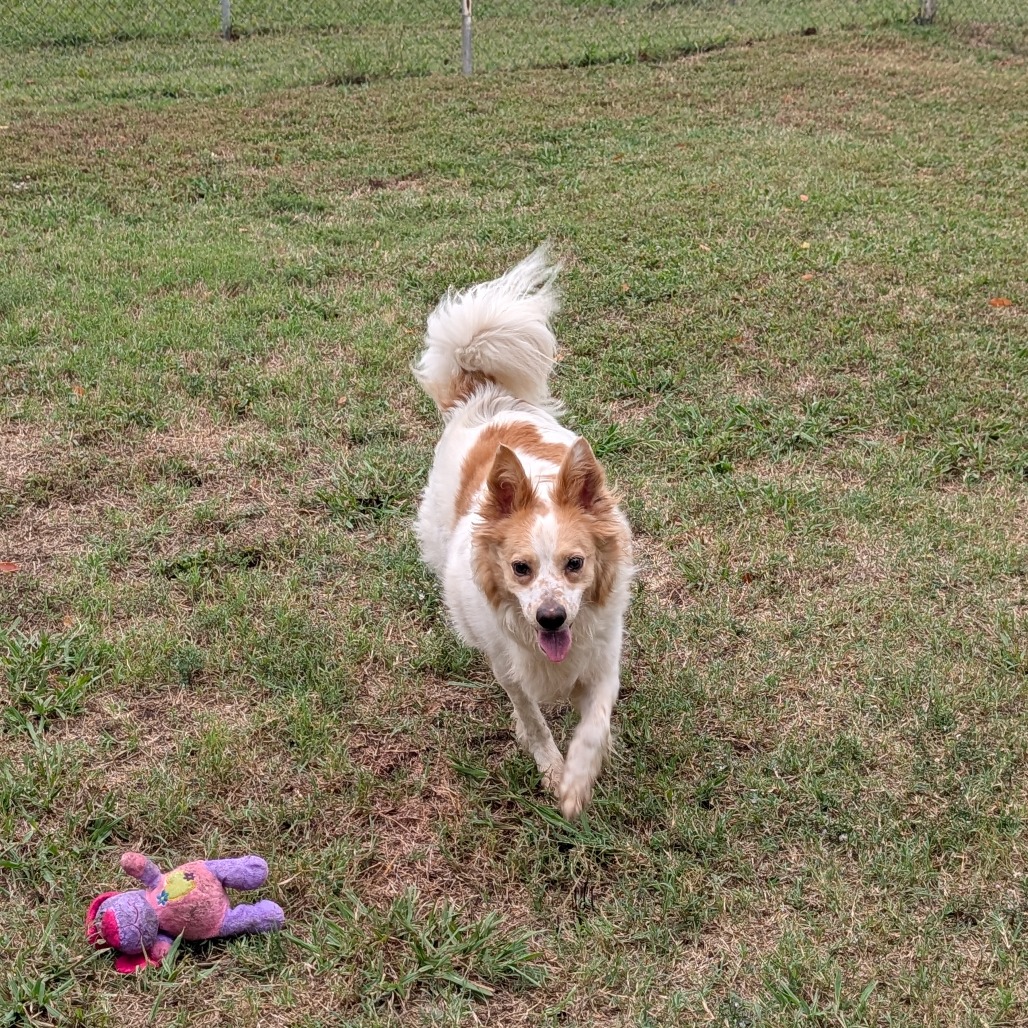 Sandy photo 24
