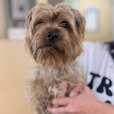 Kennel#17's preview photo