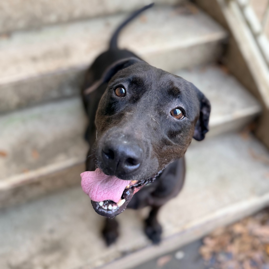 Delilah, photo 5