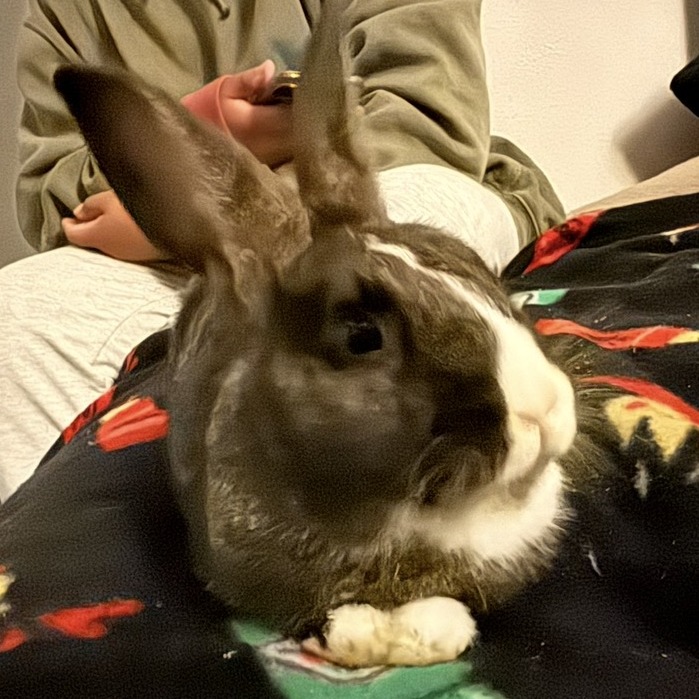 Pepper, photo 2