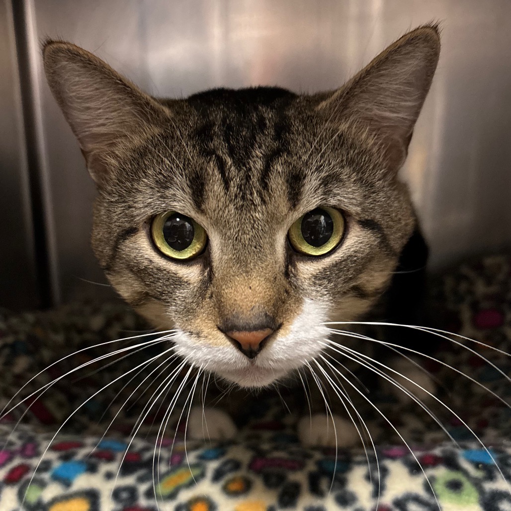 89c701ffa2120de592c88050f000550a