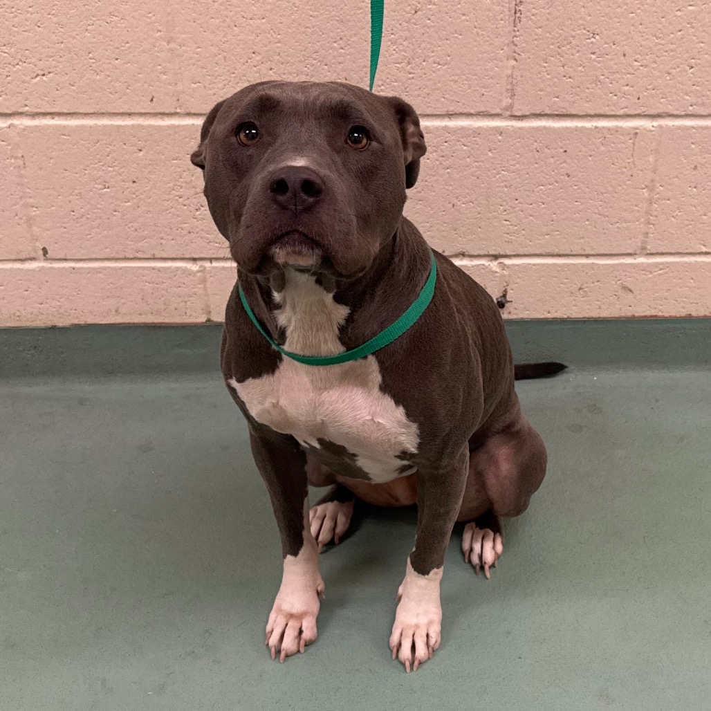 Angel — thumbnail 3