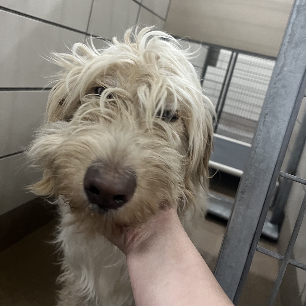 LeeLou — thumbnail 3