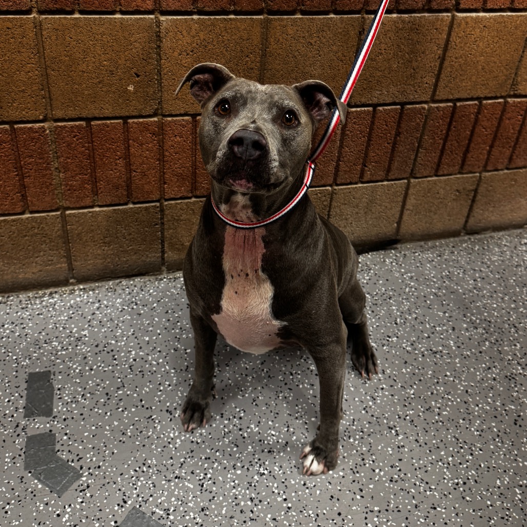 Chyna, photo 3
