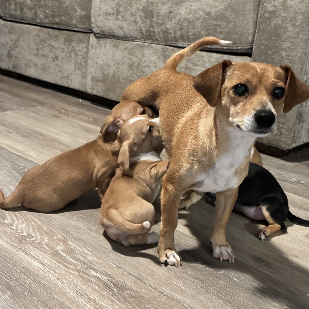 Carly — thumbnail 5