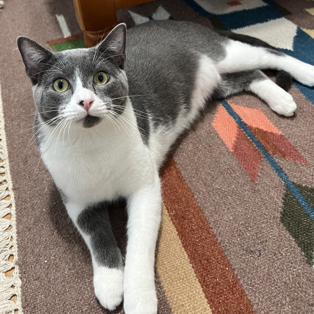 Mister Ralph — thumbnail 7