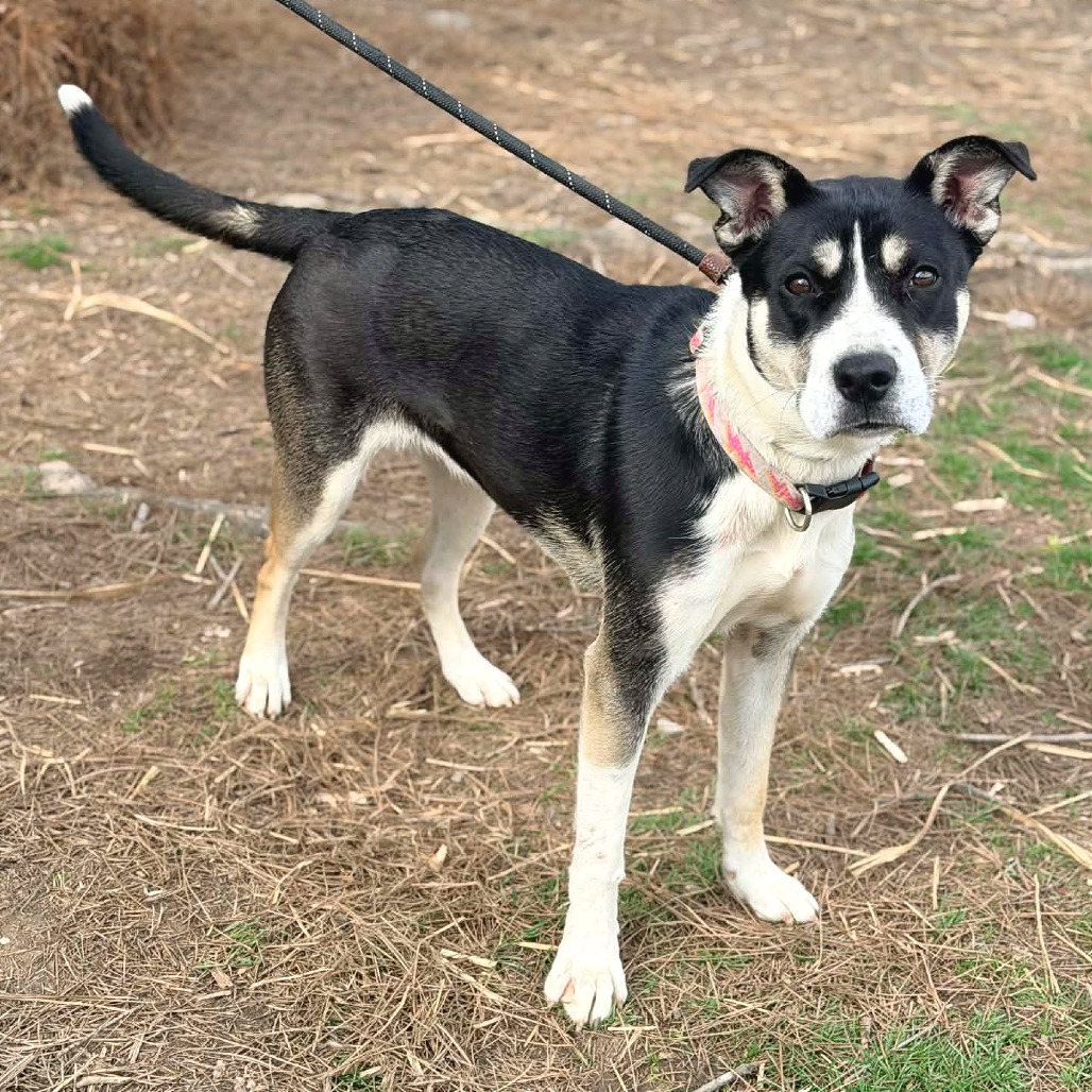 Ella — thumbnail 7