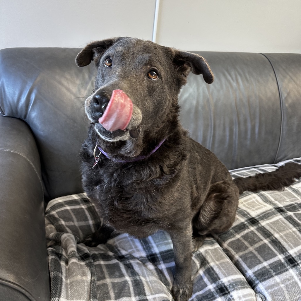 Jessie — thumbnail 5