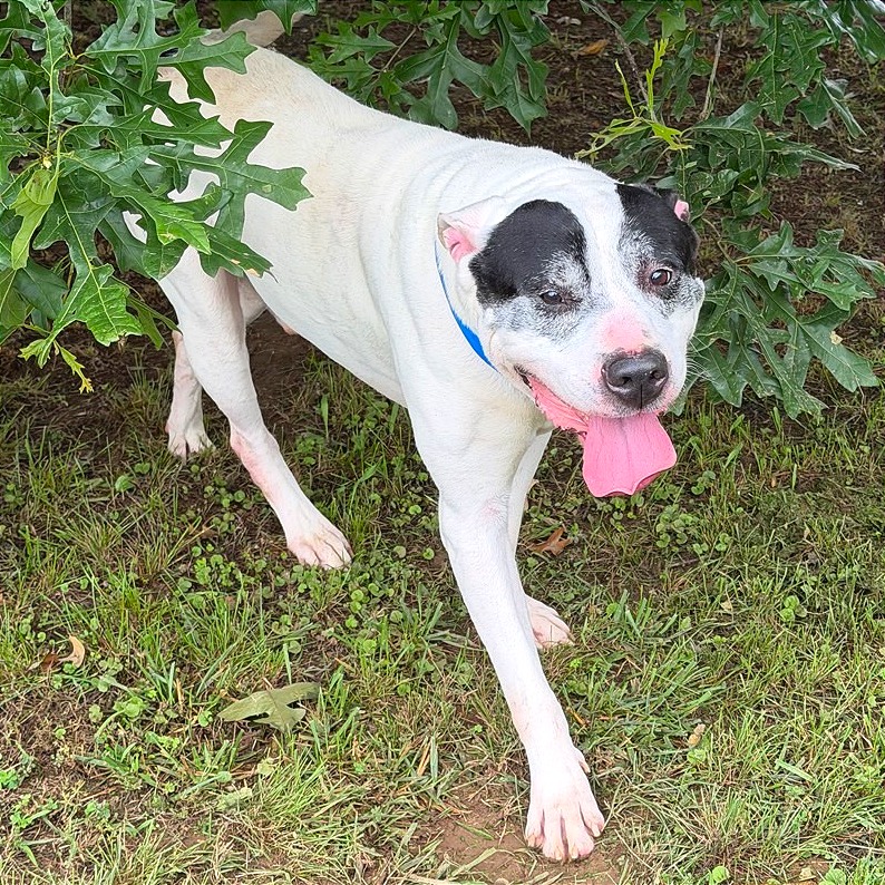 Jethro, photo 2