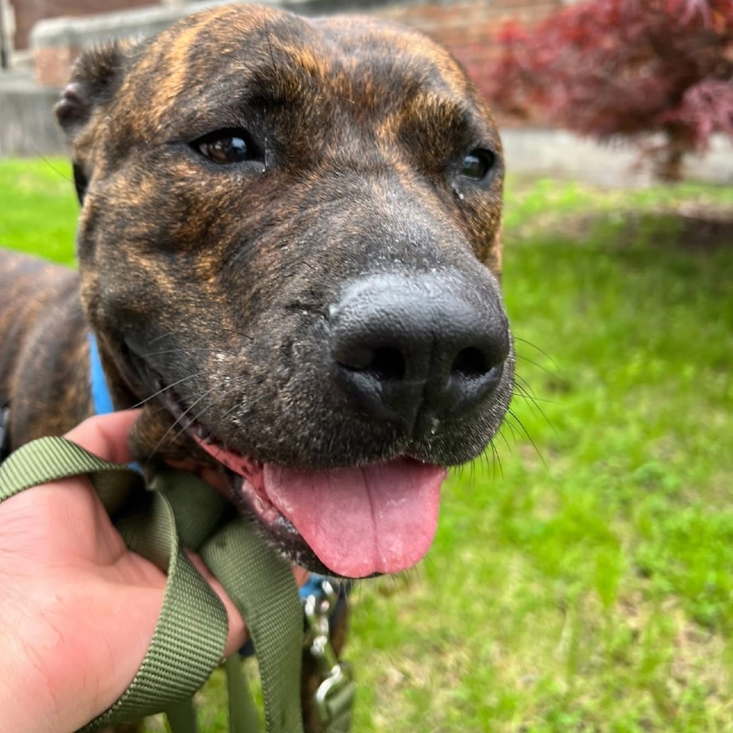 Photo of Dora the Explorer 6