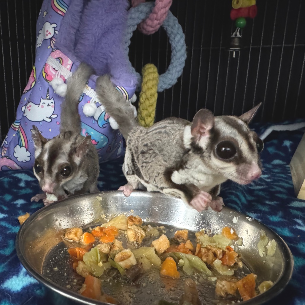 Peanut