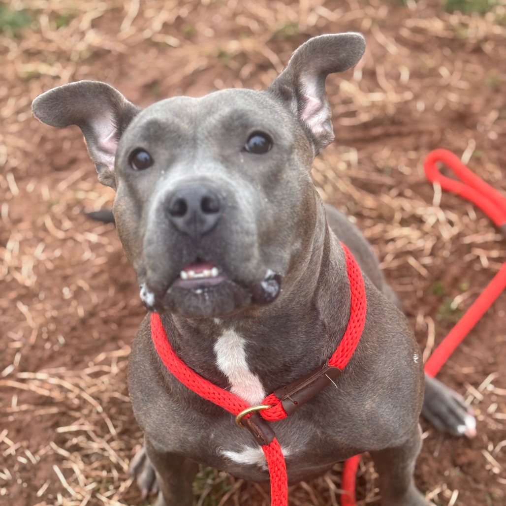 c776789966c3dc58d46245165a19e26d