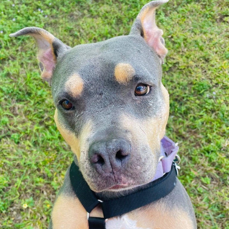 Close-up photo of Mary Ann