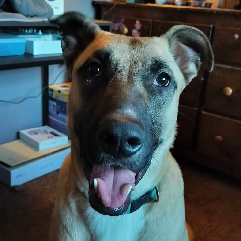 Tucker, photo 5