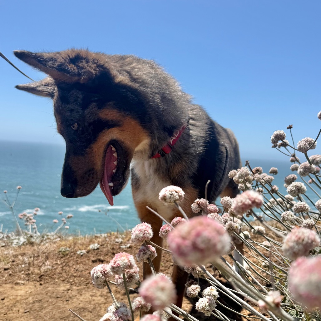 LEFTY, photo 15