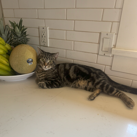 Tim, photo 6