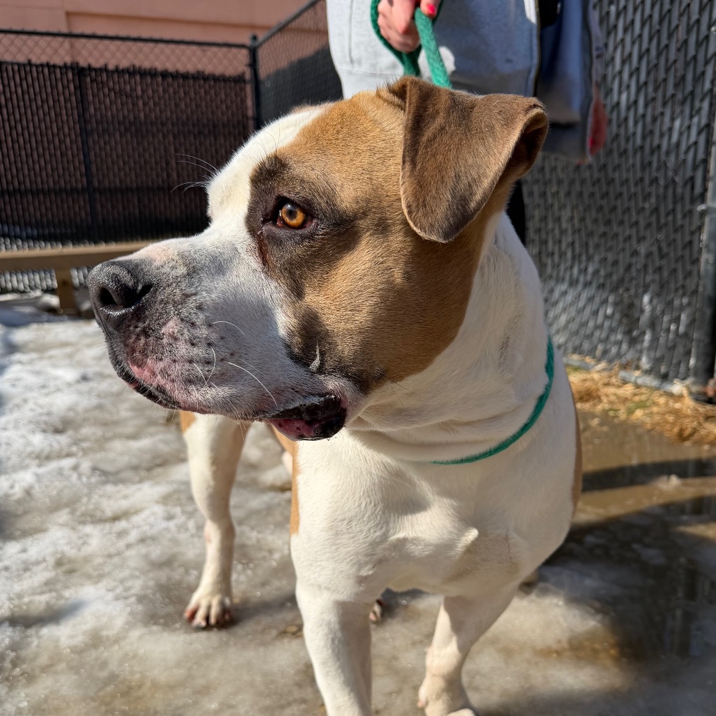 Jones — thumbnail 2