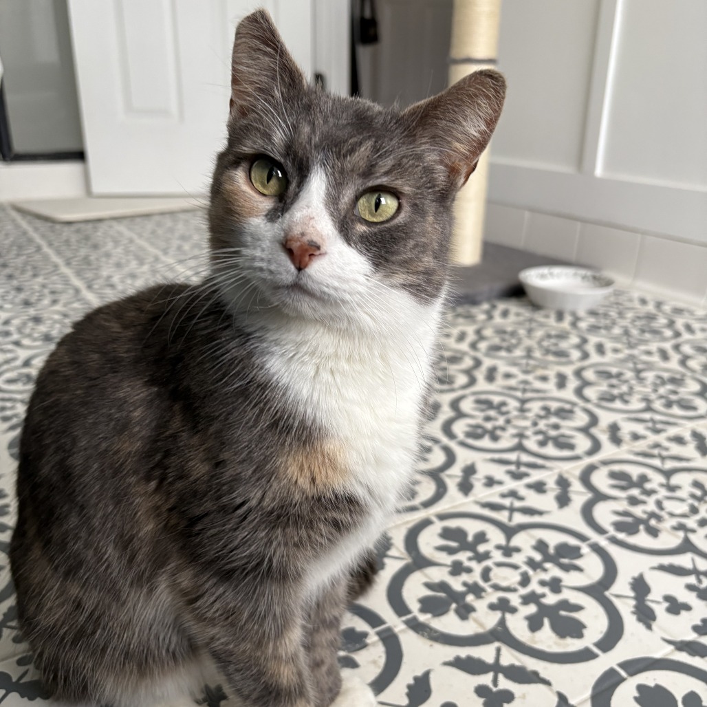 Margaret — thumbnail 5