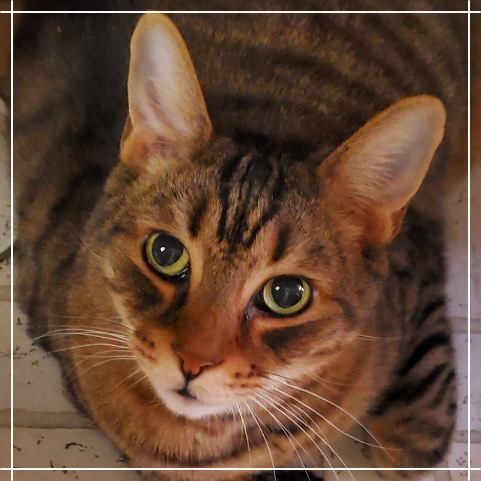 Tigger picture #5