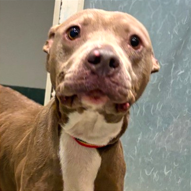 Alli — thumbnail 8