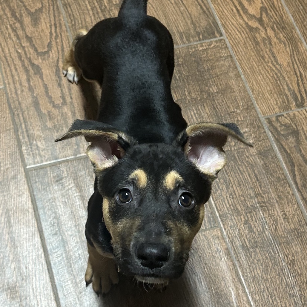 Luke — thumbnail 3