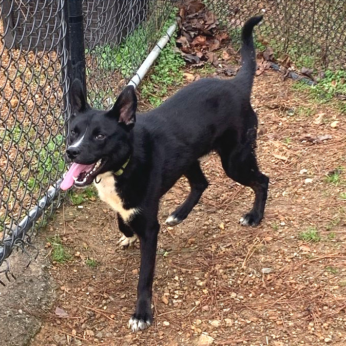 Cody — thumbnail 7