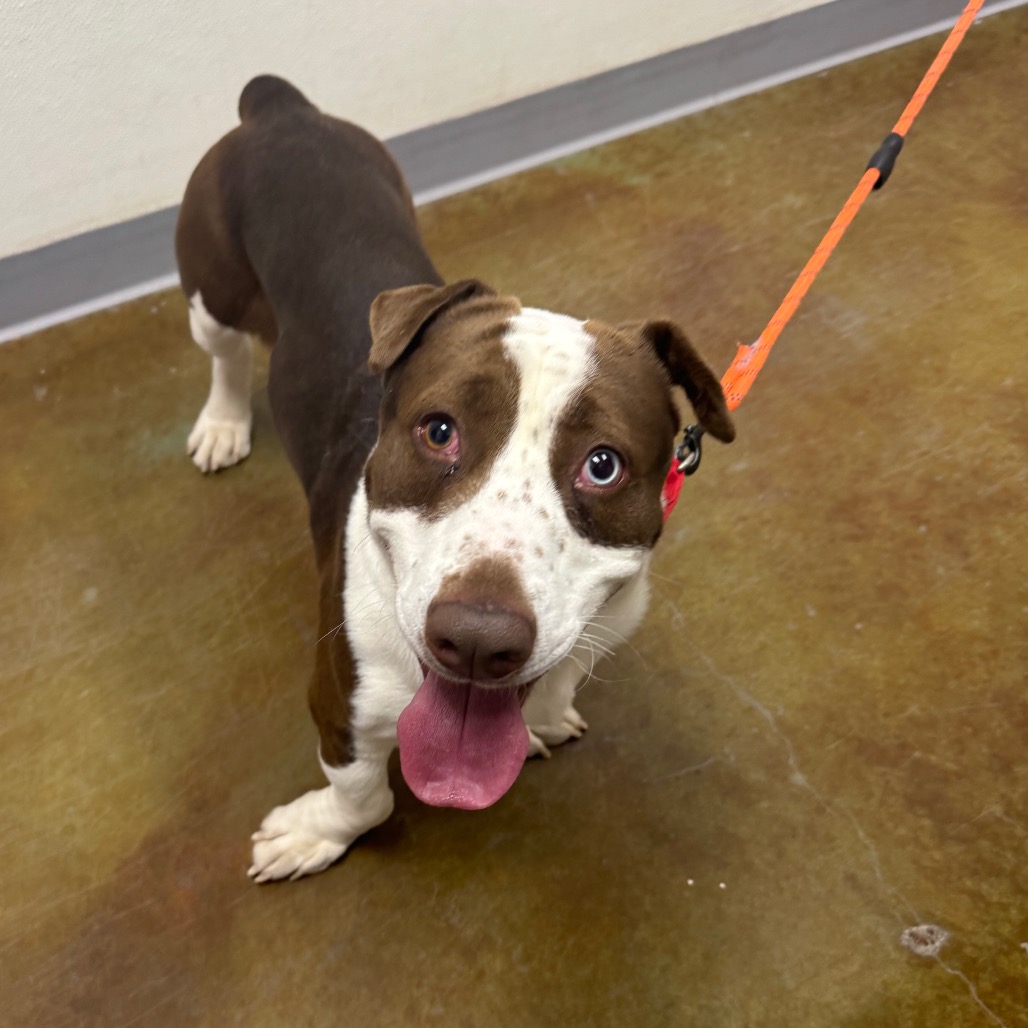 Kyle — thumbnail 2