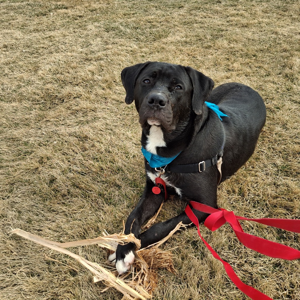 Socks — thumbnail 3