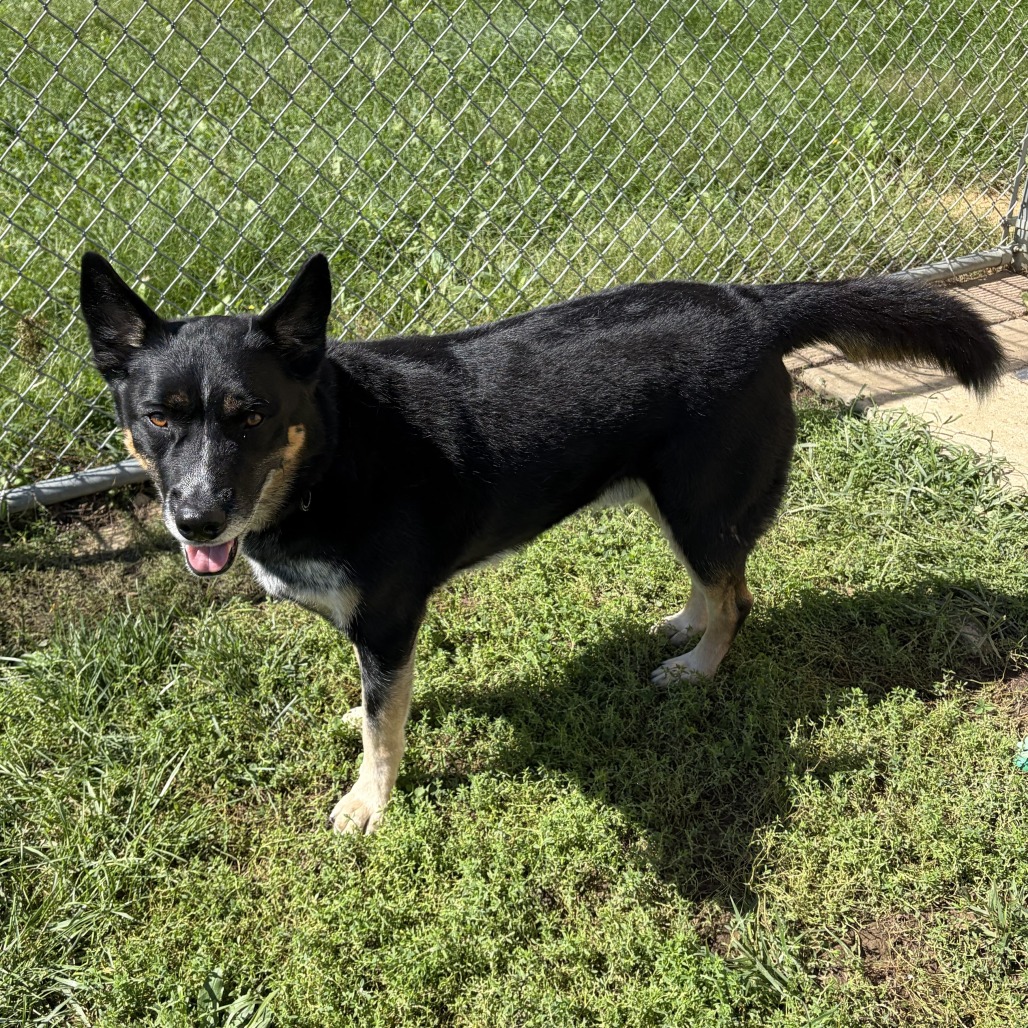 Buster, photo 5